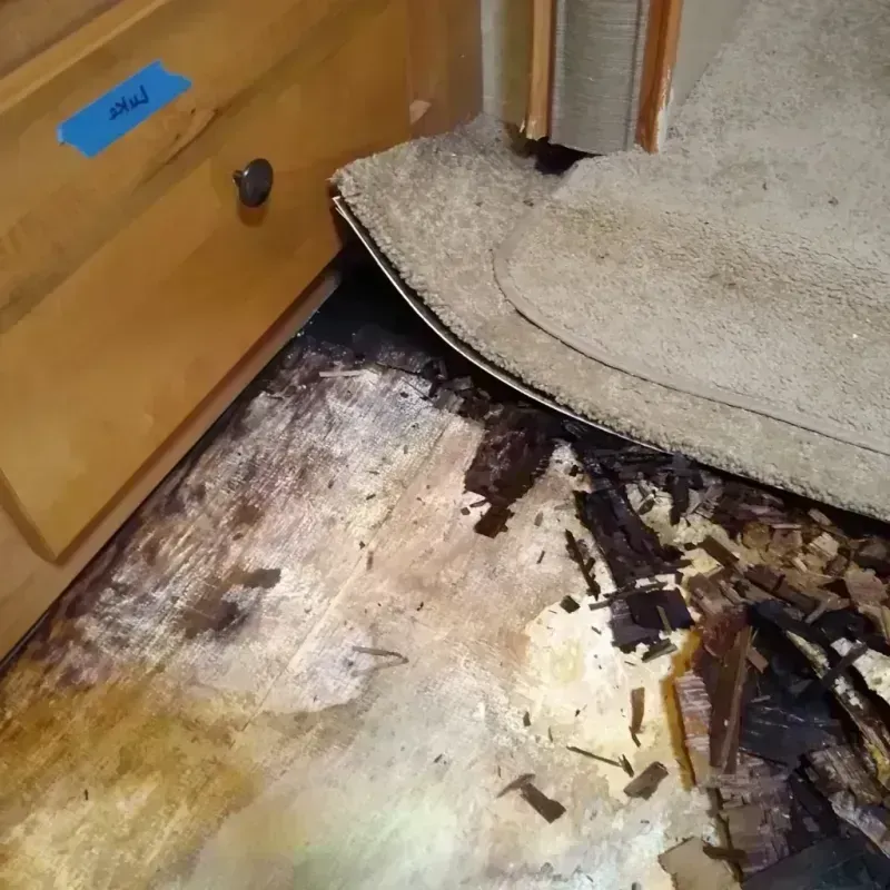 Wood Floor Water Damage in Burlington County, NJ